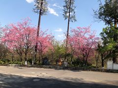 -天龙八部武侠城