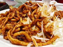 京酱肉丝-陶然饺子城(奥体中路店)