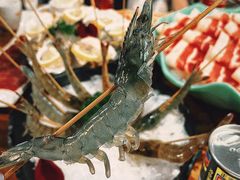 -捞围鲜·港式打边炉(海阳路店)