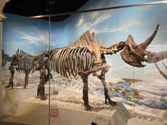 -国家自然博物馆