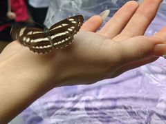 -将军关探险漂流