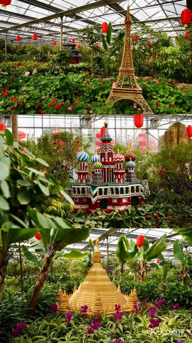 南宫五洲植物乐园图片 - 第2066张