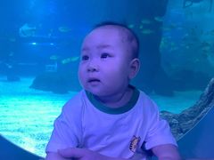 -常州海昌海洋探索馆