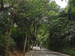 -梧桐山风景名胜区