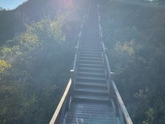 -大岭沟猕猴桃谷风景区