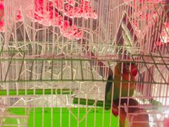 -蓝鲸湾汤泉(包河店)