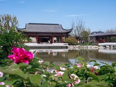 -上海滨江森林公园