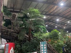 -老山东·山东菜(鲁菜名店)