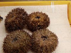 -西村日本料理(香格里拉饭店)