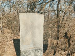 -高尔山公园