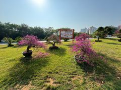 -广西壮族自治区药用植物园