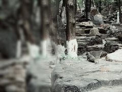 -八大处公园