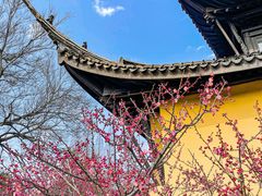 -红梅公园