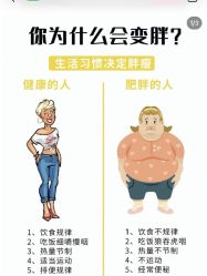 -香薇妮丝·定制减肥·身材管理
