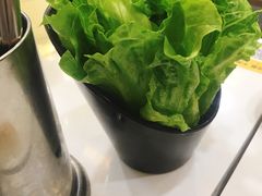 -八乔煎肉馆·丹东特色煎锅(梅林店)