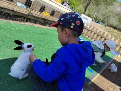 -浅山蜜塘奇妙乐园·亲子营地