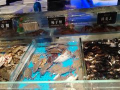 -加餐海鲜自助(宝龙一城店)
