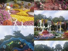 -上海共青森林公园