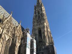 -斯蒂芬主教座堂(Stephansdom)