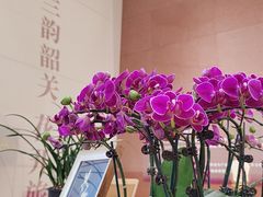 -韶关站
