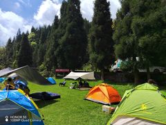 -武陵山森林公园