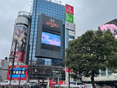 -涩谷全向十字路口