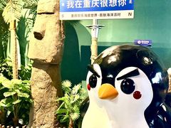 -重庆欢乐海底世界