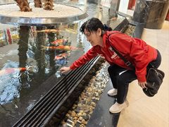 -唐山河头老街国丰维景国际大酒店