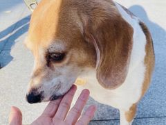 -星海音乐学院(沙河校区)