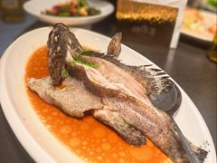 小石斑鱼-闽海肴(北辰荟店)