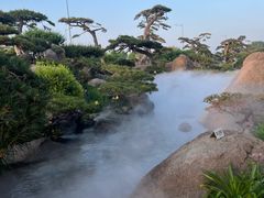 -罗红摄影艺术馆