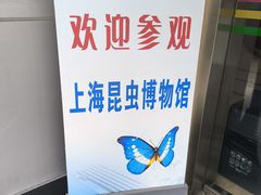 -上海昆虫博物馆