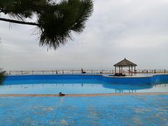 -日照海滨国家森林公园