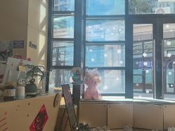 -归位瑜伽&归位普拉提