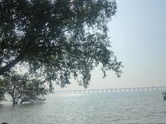 -宝安西湾红树林湿地公园