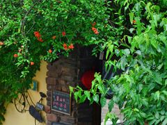 -杭州西湖风景名胜区-满觉陇四眼井