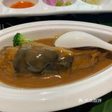 喝喝茶 聊聊天 养养生 🍵