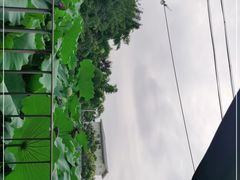-莫催咖啡