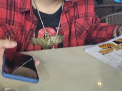 -千岛蚝高压锅生蚝·人参火锅(白云万达店)