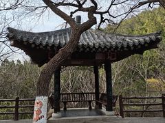 -佛慧山