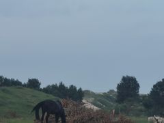 -库伦旗银沙湾旅游景区
