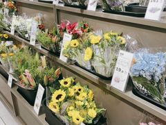 -鹿岛生活(熙地港店)