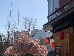 -朗悦公园茂
