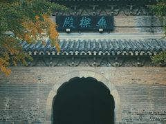 -灵谷景区
