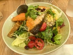 法式煎三文鱼藜麦蔬菜色拉-玛格萝妮比萨屋(四平店)