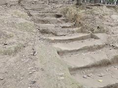 -南山植物园