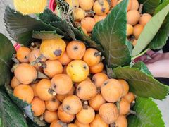 -塘栖枇杷特色园区