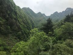 -秦岭天竺山景区