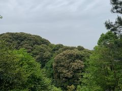 -梅岭月亮湾山体公园