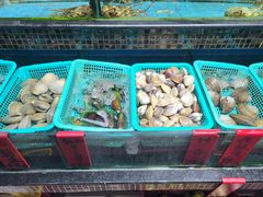 -海大大蒸汽海鲜餐厅·粤菜·特色小炒(欢乐颂店)